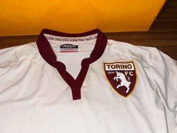 Torino FC - Italiaanse voetbal competitie - 2015 -, Nieuw
