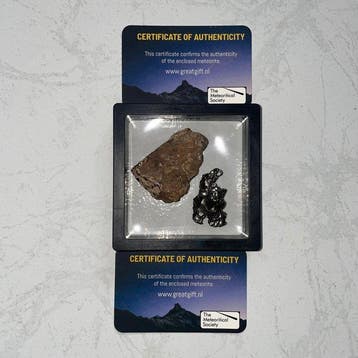 Collection de météorites – Al Haggounia 001 & Campo del