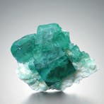 Geen reserve. BIG Twin. UV-daglicht fluorescent FLUORITE op, Collections, Minéraux & Fossiles