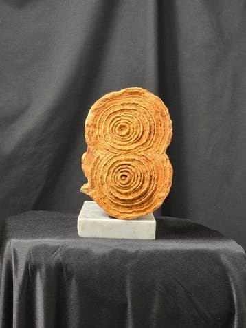 Gefossiliseerd dier - Huge stromatolite on Handcraft Carrara