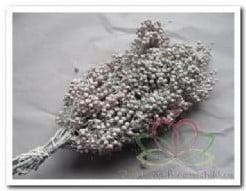 Pepper Berrie Peperbessen Frosted White Bundel, Nieuw