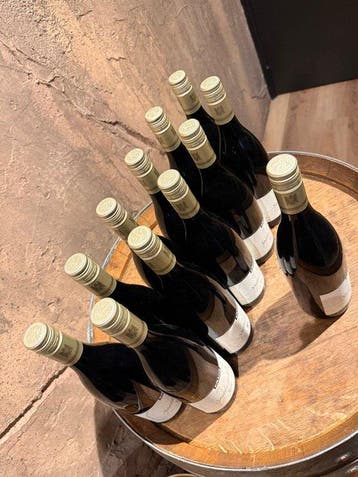 2018 Kranz, Spätburgunder - Pfalz Trocken - 12 Flessen (0.75, Nieuw