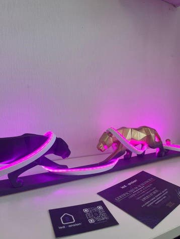 LEDMansion - Dual Instinct – Neon Panthers