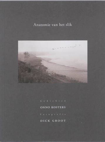 Anatomie van het slik 9789077767160 Onno Kosters, Verzenden, Onno Kosters