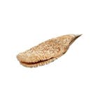 Edel-Pinna ou coquille dépinette noble Squelette - Pinna, Collections
