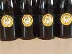 Westvleteren - douze - 33cl - 12 bouteilles, Nieuw