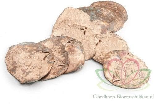 Capiz Camar schelpen Koper 500 gram, Hobby en Vrije tijd, Knutselen, Nieuw