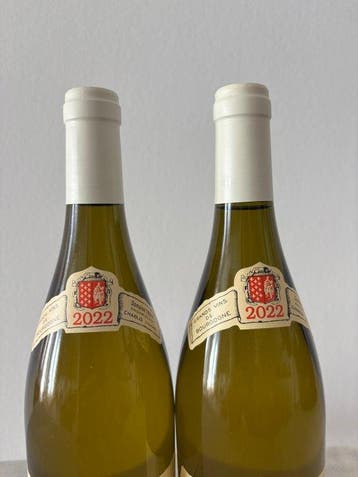 2022 Laurent Tribut Beauroy & Côte de Léchet - Chablis, Collections, Vins