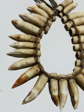 Fijn authentix ketting Boven-Asmat - Kombai - West-Papoea, Antiek en Kunst