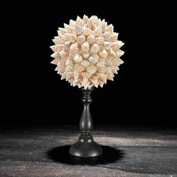 Decoratief ornament - NO RESERVE PRICE - Wonderful Pair of