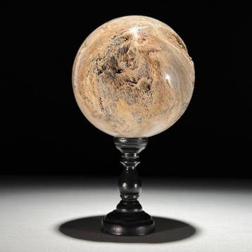 Prachtig paar versteend hout - Gefossiliseerd hout - Spheres
