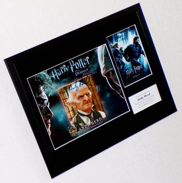 Harry Potter - Andy Herd (Gringotts Goblin) Premium Framed,, Nieuw