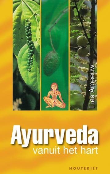 Ayurveda 9789089241146 Lies Ameeuw, Boeken, Verzenden, Gelezen, Lies Ameeuw