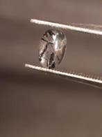 Natural Rutilated Quartz - oval cabochon - black rutile quar, Verzenden, Nieuw