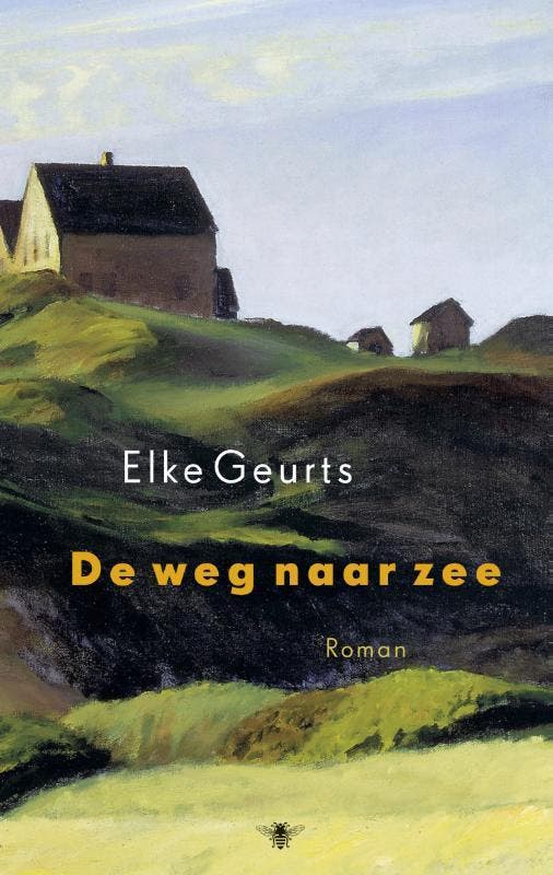 De weg naar zee 9789023485612 Elke Geurts, Boeken, Romans, Zo goed als nieuw, Verzenden