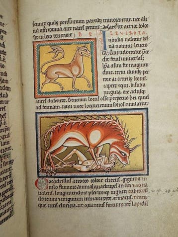 Frankrijk - Parijs; Club du livre - Fac simile bestiaire du, Antiquités & Art