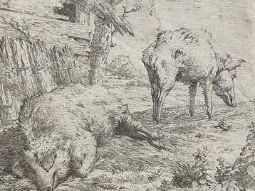Karel Dujardin (1622-1678) - Two Pigs - 1656