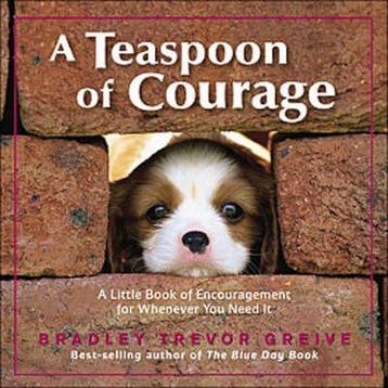 Teaspoon of Courage 9780740754722 Bradley Trevor Greive, Verzenden, Zo goed als nieuw, Bradley Trevor Greive