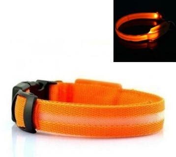 LED Halsband ORANJE, Verzenden, Nieuw