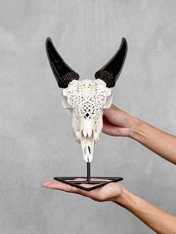PAS DE PRIX DE RÉSERVE - Crâne de chèvre sculpté blanc -