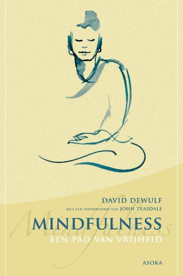 Mindfulness 9789056702472 David Dewulf, Verzenden, Gelezen, David Dewulf