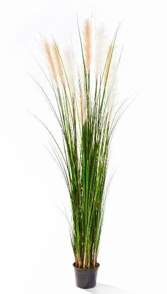 Kunstplant Pijlriet 180 cm, Verzenden
