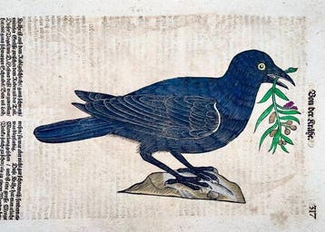 Conrad Gessner [1516-1565]; folio with woodcut -