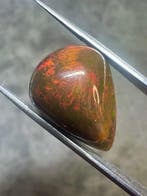Opale noire dÉthiopie. 15,05 karaat. peervormige cabochon -