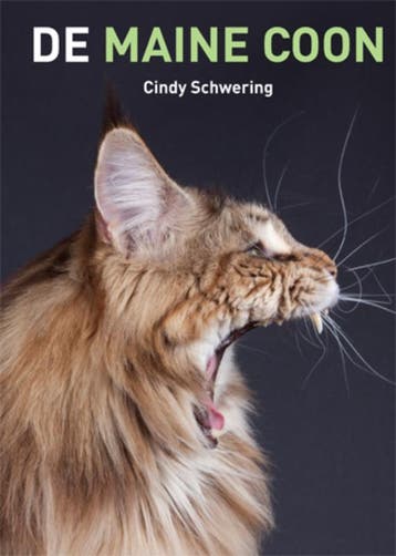 De Maine Coon 9789077462713 Cindy Schwering, Verzenden, Zo goed als nieuw, Cindy Schwering