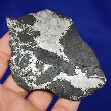 XL Gesiliciteerd IJZEREN METEORIET Campo del Cielo