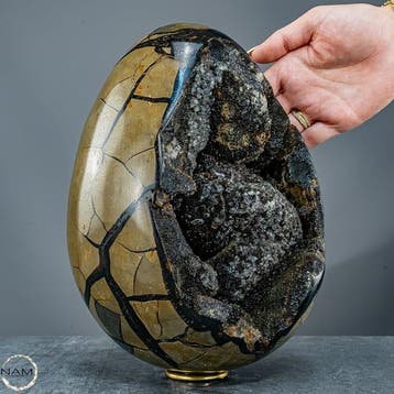 Adembenemend Septarien-ei – Een natuurkunstwerk vol