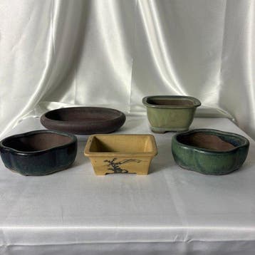 Set van 5 Japanse Mame-/Shohin-bonsai-potten (makermerken en