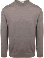 Profuomo Pullover Merinowol Taupe maat Maat 48/50 (M) Heren, Bruin, Nieuw, Profuomo, Verzenden