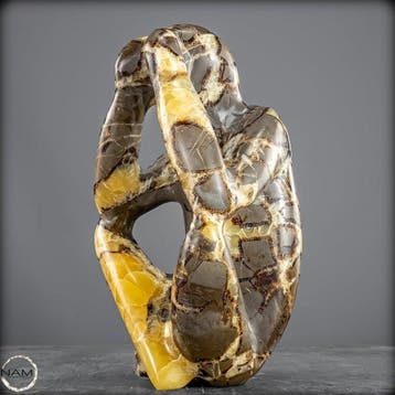 Zeldzame Septarien Denker sculptuur- 2537.79 g, Verzamelen