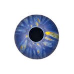 French Art - Sophie Albert - Vaas - Keramiek, Antiek en Kunst