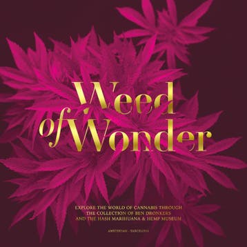Weed of Wonder 9789090338521 Jules Marshall, Verzenden, Zo goed als nieuw, Jules Marshall