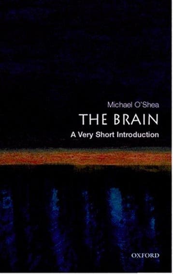 Brain Very Short Introduction 9780192853929 Michael OShea, Verzenden, Michael O'Shea
