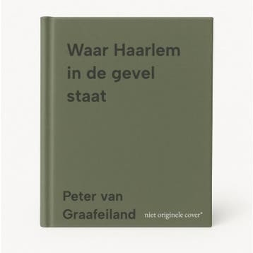 Waar Haarlem in de gevel staat 9789491936487, Verzenden, Peter van Graafeiland