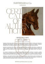 Devon (1993) - Observed Form