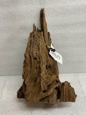 Am 675 Fine Sinkingwood 30x18x11 cm aquarium decoratie hout, Verzenden, Plant(en), Steen of Hout