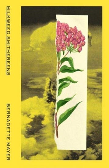 Milkweed Smithereens 9780811229227 Bernadette Mayer, Verzenden, Bernadette Mayer