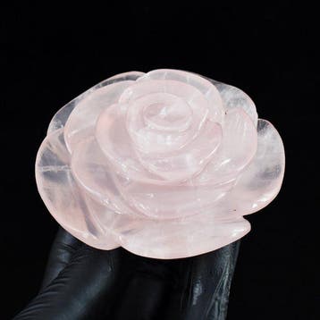 Beeld, No Reserve - Rare Rose Quartz Hand Carved Rose -