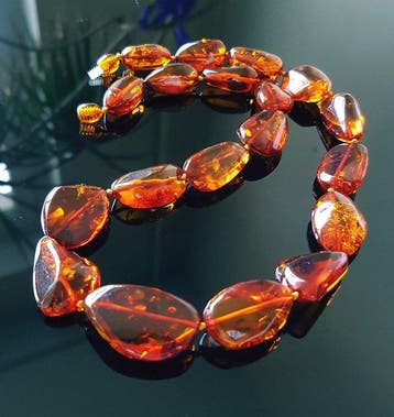 Amber Unieke zeldzame natuurlijke Baltische