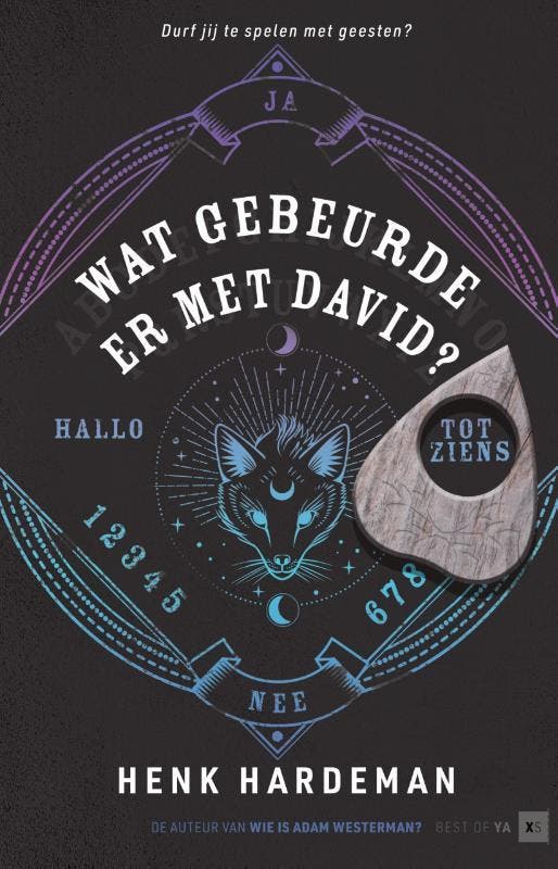 Wat gebeurde er met David? 9789000383481 Henk Hardeman, Boeken, Kinderboeken | Jeugd | 13 jaar en ouder, Gelezen, Verzenden