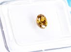 Zonder minimumprijs - 1 pcs Diamant (Natuurlijk gekleurd) -, Nieuw