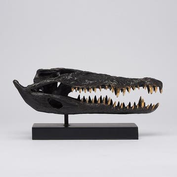 Sculpture, Saltwater Crocodile Skull fashioned in bronze, on, Antiquités & Art
