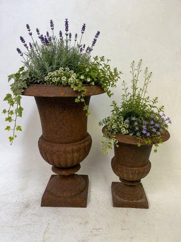Jardinière (2) - cloche vazen - Fonte - tuinvazen