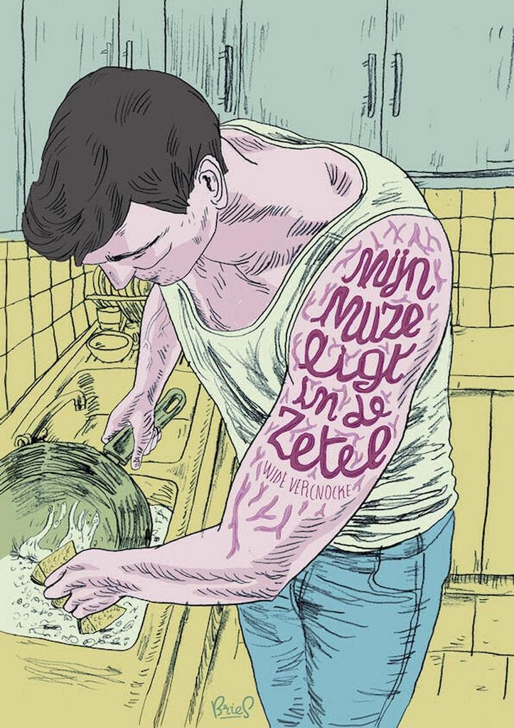 Mijn muze ligt in de zetel 9789461740052 Vercnocke, Livres, BD, Envoi