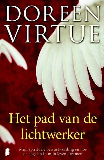 Het pad van de lichtwerker 9789022559512 Doreen Virtue, Verzenden, Gelezen, Doreen Virtue