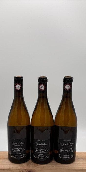 2022 Simon Bize, Savigny-Lès-Beaune - Bourgogne - 3, Nieuw